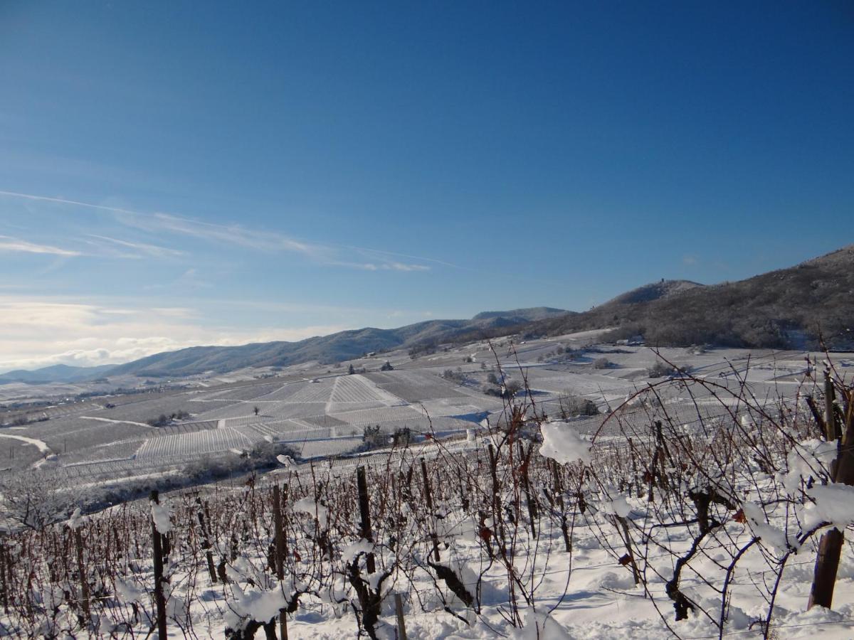 Апартаменты Au Coeur Des Vignes Бергхейм Экстерьер фото
