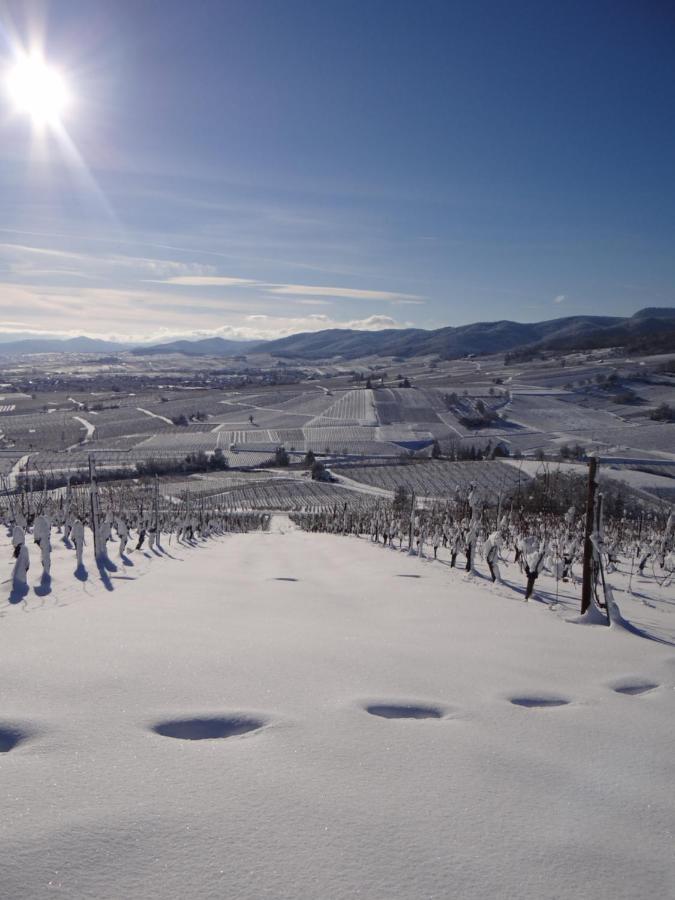 Апартаменты Au Coeur Des Vignes Бергхейм Экстерьер фото